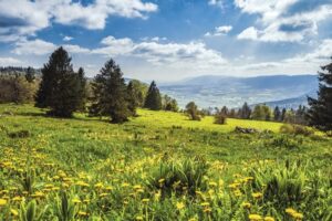 Avril | Val-de-Ruz
@ Vincent Bourrut